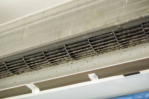 Best Emergency Air Duct Cleaning  in South San Jose Hills, CA